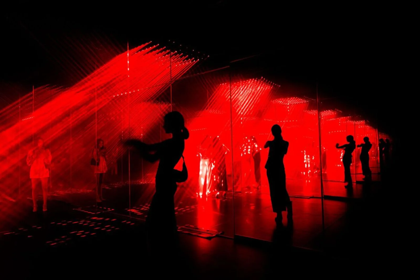 Quiet Ensemble — Light Rain — SOMA Architects