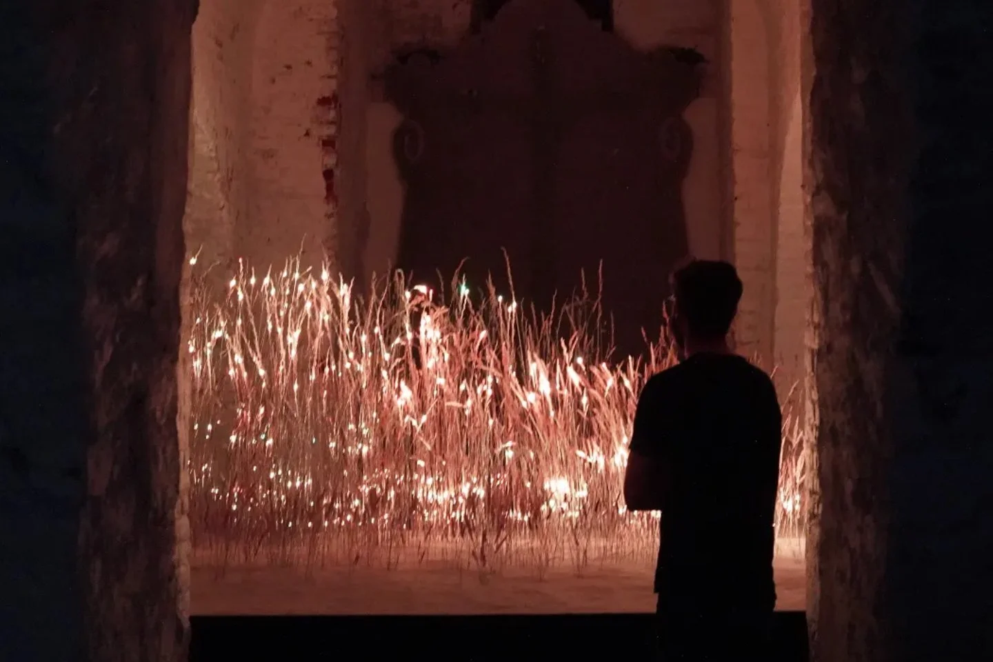 Studio Lemercier — Prairie — Biennale Miroir d’Enghien